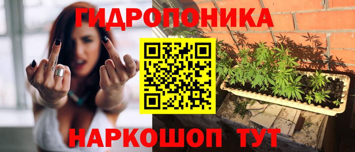 Канабис SATIVA & INDICA  Бошки марихуана планчик  Шишки марихуана гибрид  Вход с VPN  Бор  Канабис Ganja 